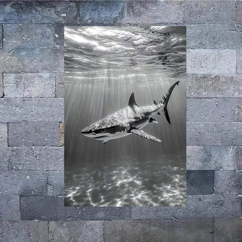 Shark Under Sea Black & White Print 100% Australian Made 40x60cm Stretched Canvas Ready to Hang