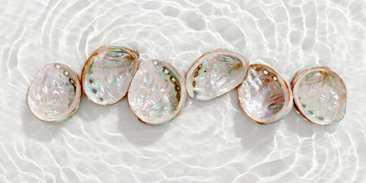 Iridescent Abalone Shells In Water Wall Art Canvas Office Home Room Framed 80x45cm