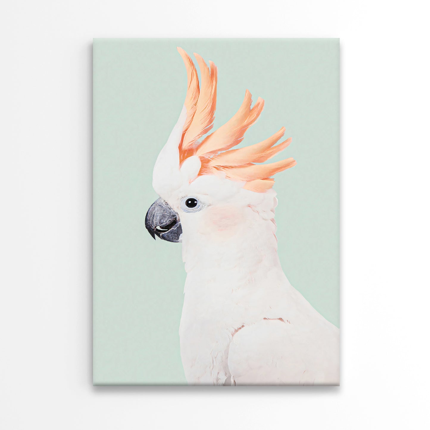 Majestic White Bird with Orange Feathers Print 100% Australian Made 40x60cm Stretched Canvas Ready to Hang