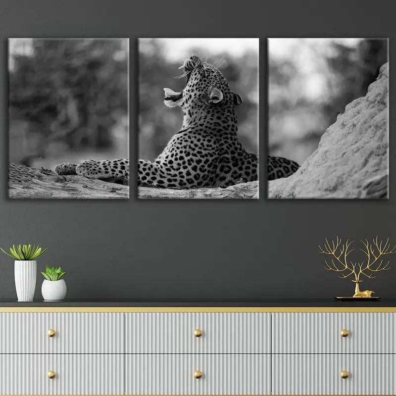 3pcs Black And White Leopard Animal Metal Print Ready to Hang Art