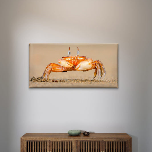 Horned Ghost Crab on a Beach Wall Art Canvas Office Home Room Framed 80x45cm