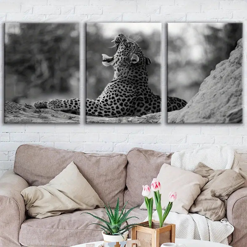 3pcs Black And White Leopard Animal Metal Print Ready to Hang Art