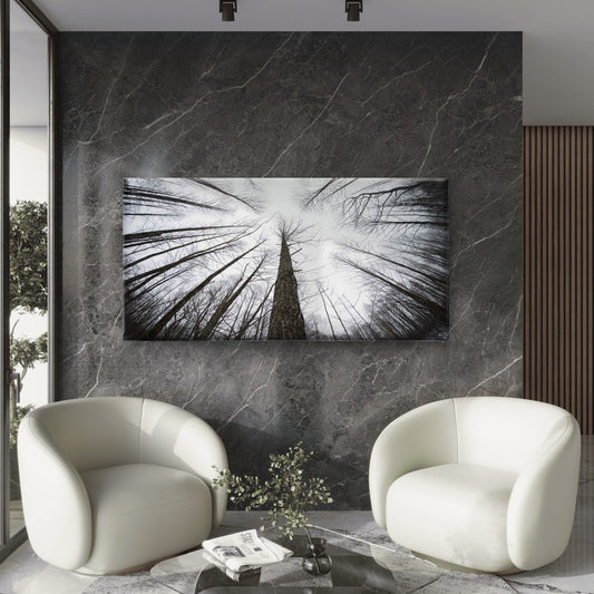Low Angle View Of Trees Wall Art Canvas Office Home Room Framed 120x60cm