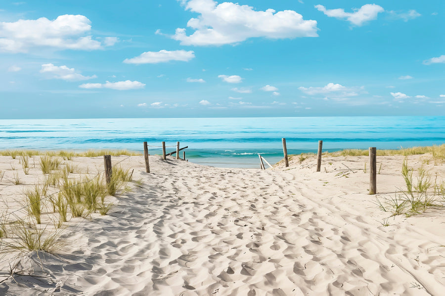 Sun Drenched Beach Path to The Sea Print 100% Australian Made 60x40cm Stretched Canvas Ready to Hang