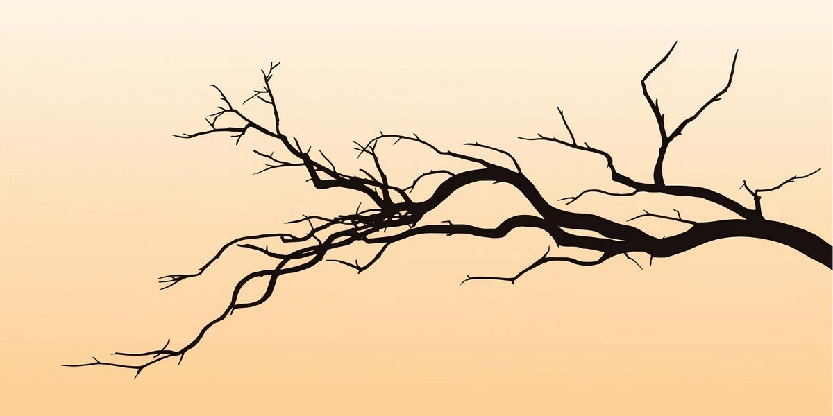 Silhouette Sunset Bare Tree Branch Wall Art Canvas Office Home Framed 120x60cm
