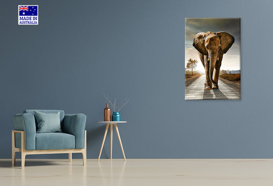 Majestic Elephant Strolling Down Road Print 100% Australian Made 40x60cm Stretched Canvas Ready to Hang