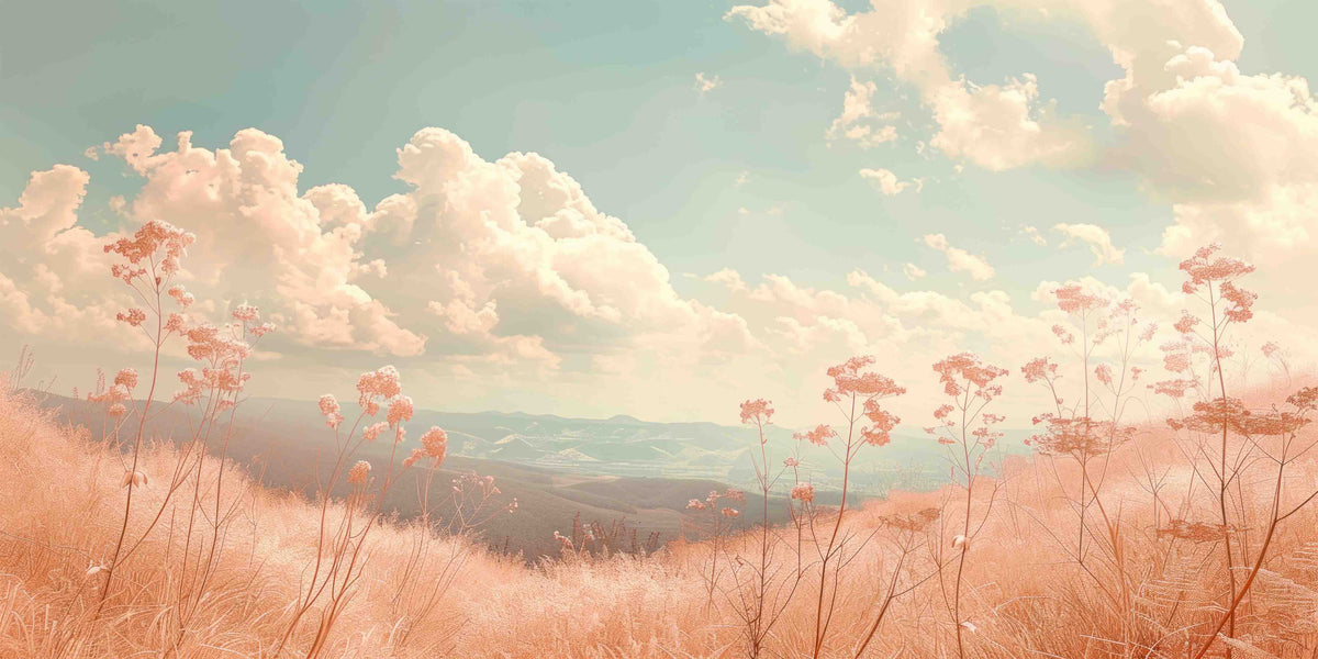 Soft Peach Sunset Field View Wall Art Canvas Office Home Room Framed 120x60 cm