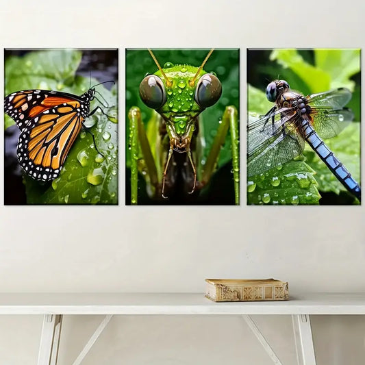 3pcs Nature Creatures Close-Up Animal Art Wall Art Set Canvas Framed 40x60cm - High Quality Print 100% Australian Made Wall Canvas Ready to Hang