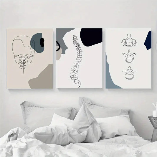 3pcs Cartoon Vertebrae & Spine Classic Anatomy Metal Print Ready to Hang Art
