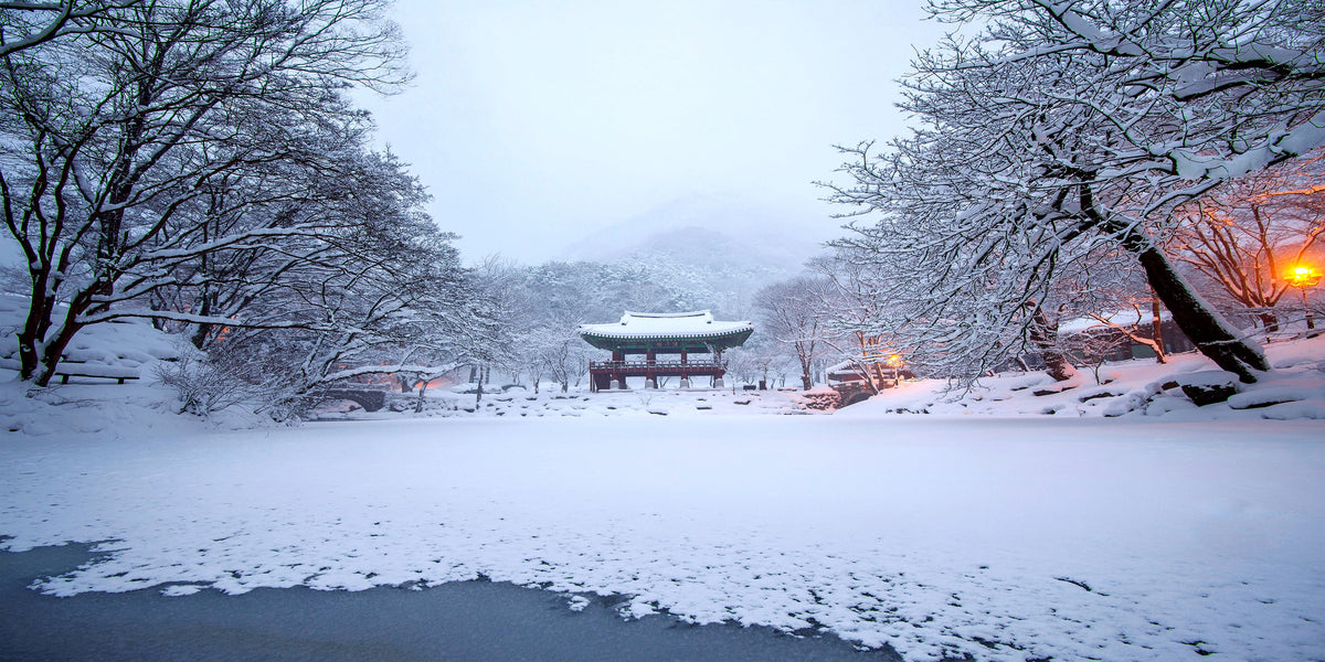 Baekyangsa Temple Falling Snow Naejangsan Mountain Korea Wall Art Canvas Office Home Room Framed 80x45cm