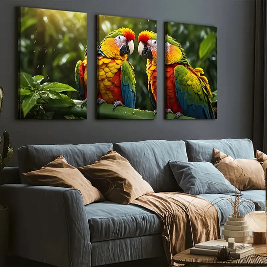 3pcs Close-Up Images of Parrot Bird Parrot Wall Art Set Canvas Framed 40x60cm - High Quality Print 100% Australian Made Wall Canvas Ready to Hang
