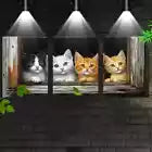 3pcs Whimsical Kitten Peeking Through Window Wall Art Set Canvas Framed 40x60cm - High Quality Print 100% Australian Made Wall Canvas Ready to Hang