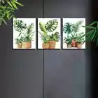 3pcs Modern Nordic Style Indoor plants Wall Art Set Canvas Framed 40x60cm - High Quality Print 100% Australian Made Wall Canvas Ready to Hang