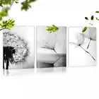 3pcs Interesting Simple Dandelion Black & White Wall Art Set Canvas Framed 40x60cm - High Quality Print 100% Australian Made Wall Canvas Ready to Hang