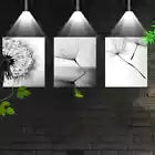3pcs Interesting Simple Dandelion Black & White Wall Art Set Canvas Framed 40x60cm - High Quality Print 100% Australian Made Wall Canvas Ready to Hang
