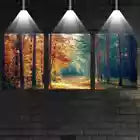 3pcs Quiet Forest Autumn Trees Wall Art Set Canvas Framed 40x60cm - High Quality Print 100% Australian Made Wall Canvas Ready to Hang