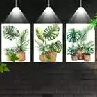 3pcs Modern Nordic Style Indoor plants Wall Art Set Canvas Framed 40x60cm - High Quality Print 100% Australian Made Wall Canvas Ready to Hang