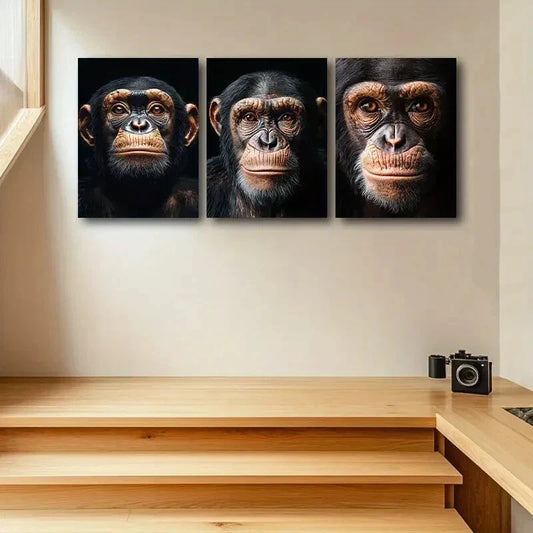 3pcs Chimpanzee Portraits Metal Print Ready to Hang Art