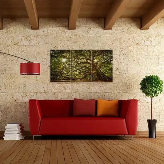 3pcs Large Old Tree in Sunshine Metal Print Ready to Hang Art