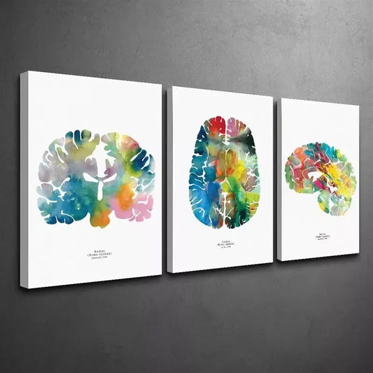 3pcs Neurology & Psychology Canvas Framed 40x60cm - High Quality Print 100% Australian Made Wall Canvas Ready to Hang