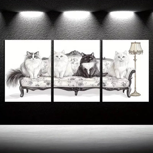 3pcs Black & White Cats In Sofa Canvas Framed 40x60cm - High Quality Print 100% Australian Made Wall Canvas Ready to Hang