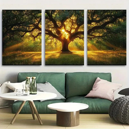 3pcs Angel Oak Park Johns Island Design Metal Print Ready to Hang Art