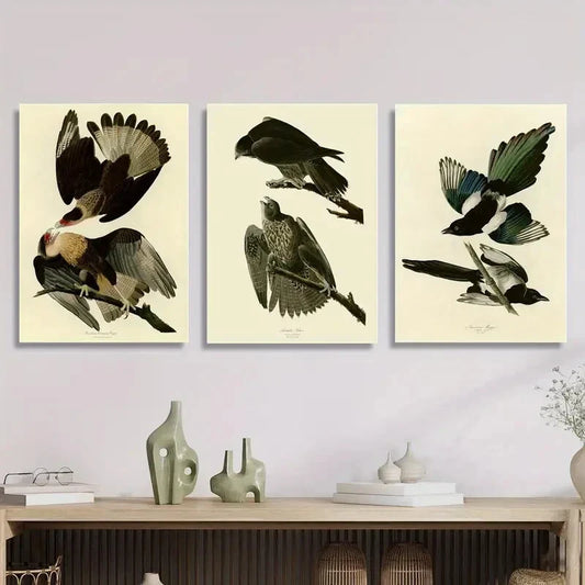 3pcs Vintage Australian Birds Metal Print Ready to Hang Art