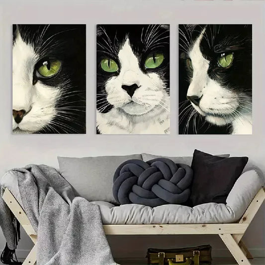 3pcsBlack and White Cat Artwork Canvas Framed 40x60cm - High Quality Print 100% Australian Made Wall Canvas Ready to Hang