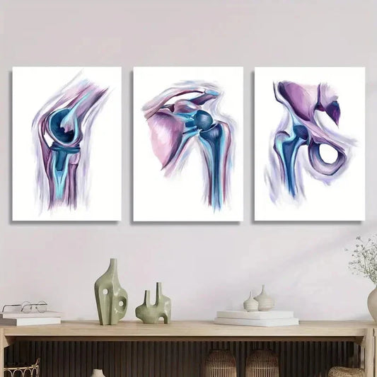 3pcs Modern Shoulder Anatomy, Metal Print Ready to Hang Art