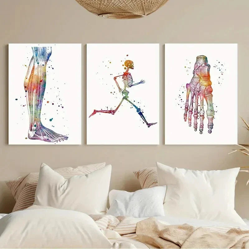 3pcs Watercolor Anatomy Vibrant Human Muscle Metal Print Ready to Hang Art