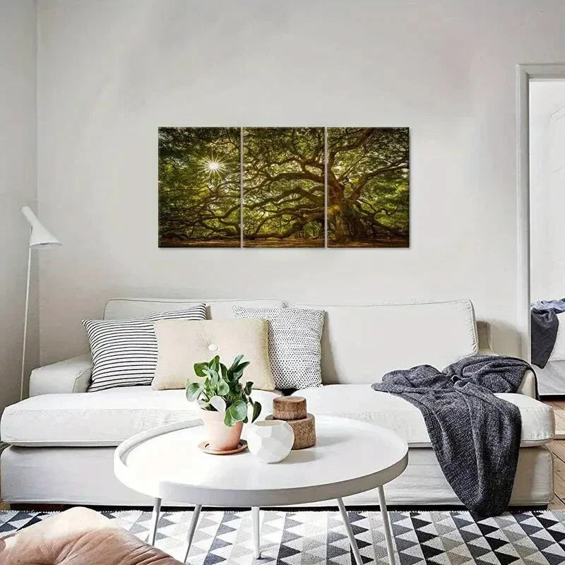 3pcs Large Old Tree in Sunshine Metal Print Ready to Hang Art