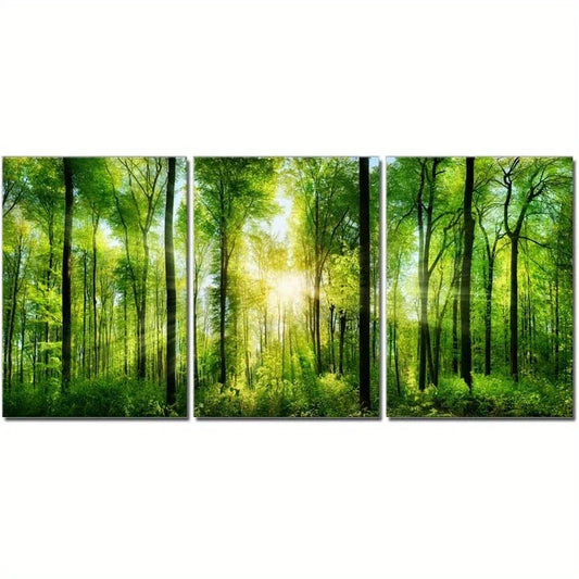 3pcs Forest Morning Sunrise Green Plant Metal Print Ready to Hang Art