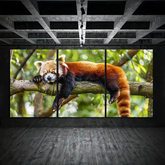 3pcs Nature Animal Sleeping On Tree Branch Metal Print Ready to Hang Art