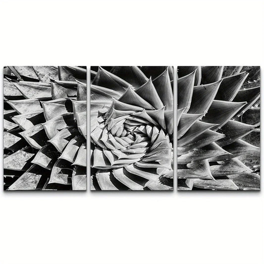 3pcs Blossoming Succulent Floral Wilderness Metal Print Ready to Hang Art