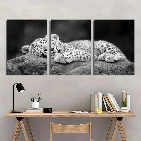3pcs Black & White Leopard Cub Sleeping Metal Print Ready to Hang Art