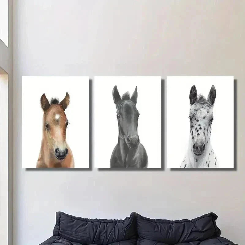 3pcs Brown Black White Pony Decoration Wall Art Set Canvas Framed 40x60cm - High Quality Print 100% Australian Made Wall Canvas Ready to Hang