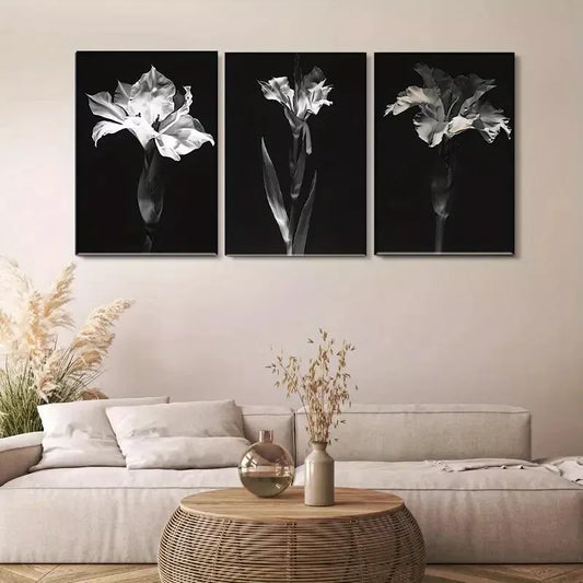 3pcs Elegant Black & White Monochrome Flora Wall Art Set Canvas Framed 40x60cm - High Quality Print 100% Australian Made Wall Canvas Ready to Hang
