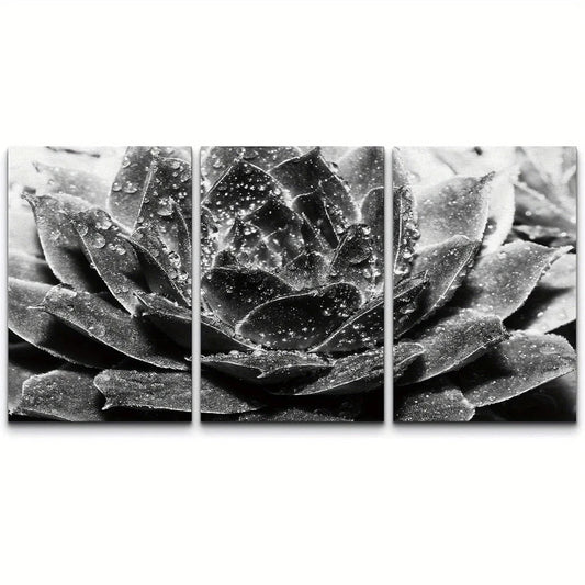 3pcs Blooming White Rose Succulent Floral Metal Print Ready to Hang Art