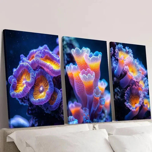 3pcs Colorful Sea Anemones Sea Plant Wall Art Set Canvas Framed 40x60cm - High Quality Print 100% Australian Made Wall Canvas Ready to Hang