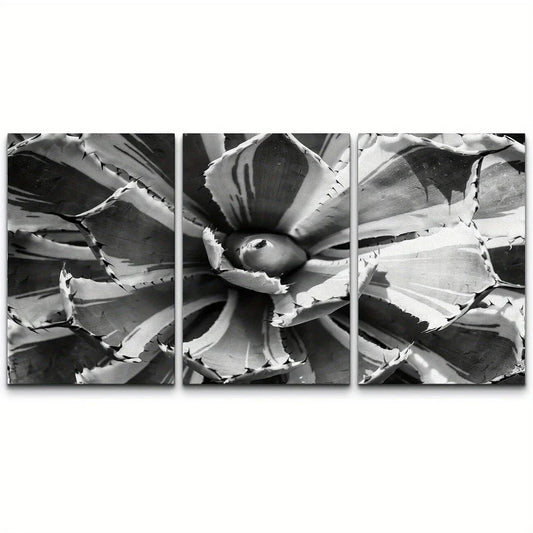 3pcs Colorful Dark Black & White Floral Wilderness Metal Print Ready to Hang Art