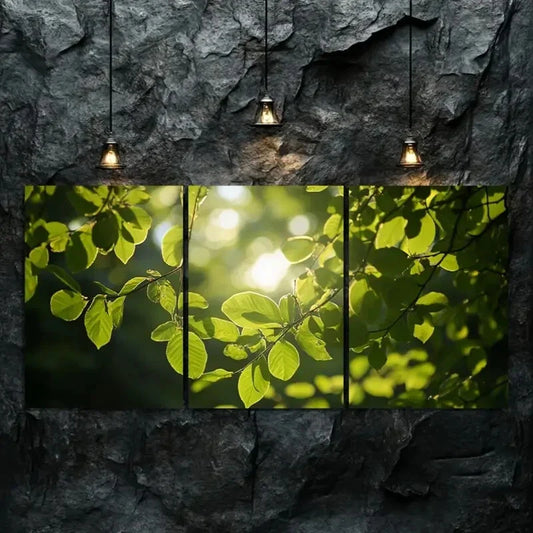 3pcs Vibrant Green Foliage with Golden Sunlight Wall Art Set Canvas Framed 40x60cm - High Quality Print 100% Australian Made Wall Canvas Ready to Hang