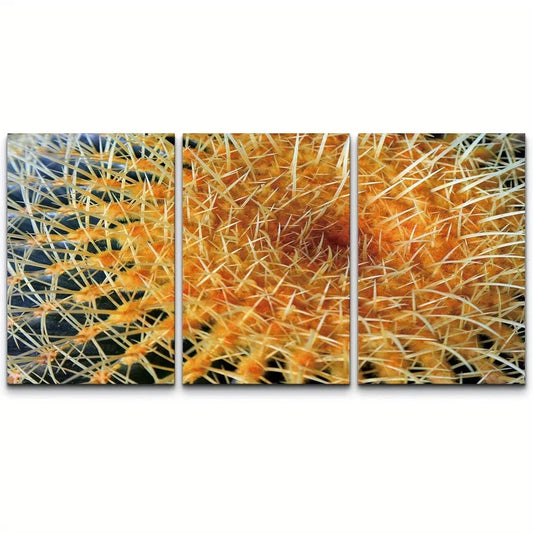 3pcs Golden Ball Cactus Floral Wilderness Metal Print Ready to Hang Art