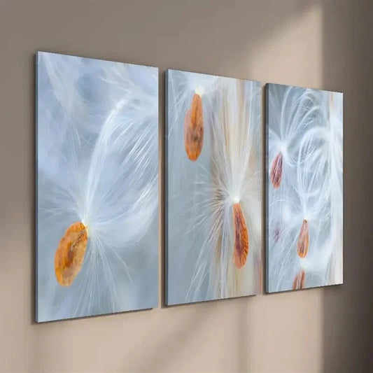 3pcs Vibrant Botanical Milkweed Seed Decor Wall Art Set Canvas Framed 40x60cm - High Quality Print 100% Australian Made Wall Canvas Ready to Hang