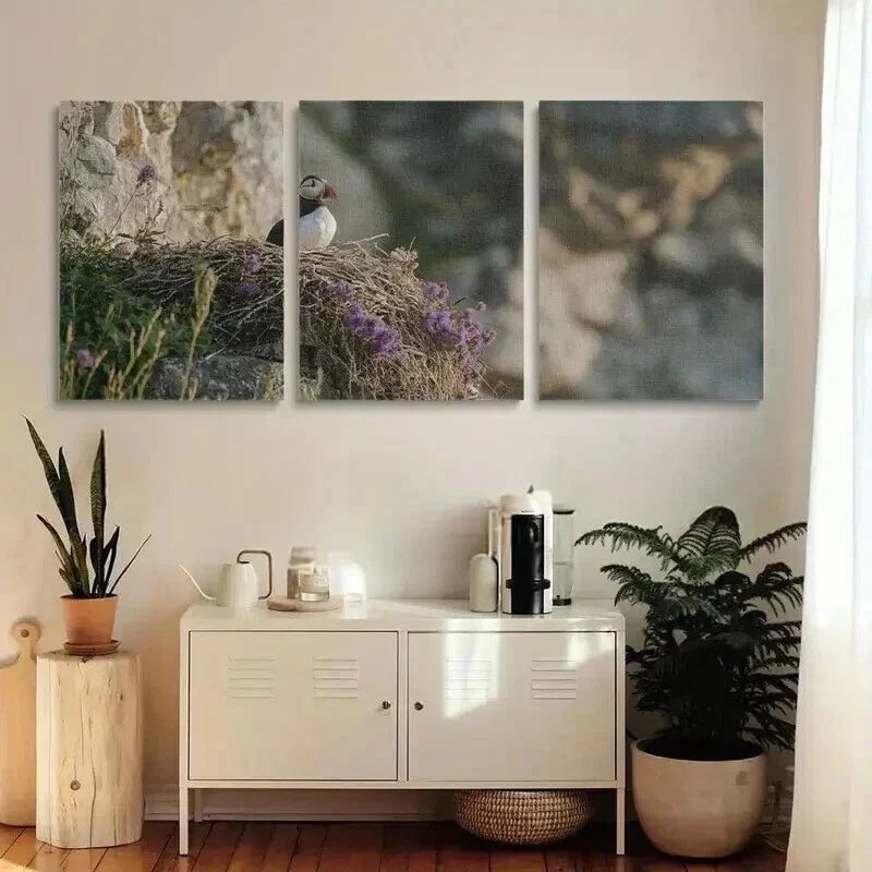 3pcs A Puffin is Sitting on the Edge of its Nest Wall Art Set Canvas Framed 40x60cm - High Quality Print 100% Australian Made Wall Canvas Ready to Hang