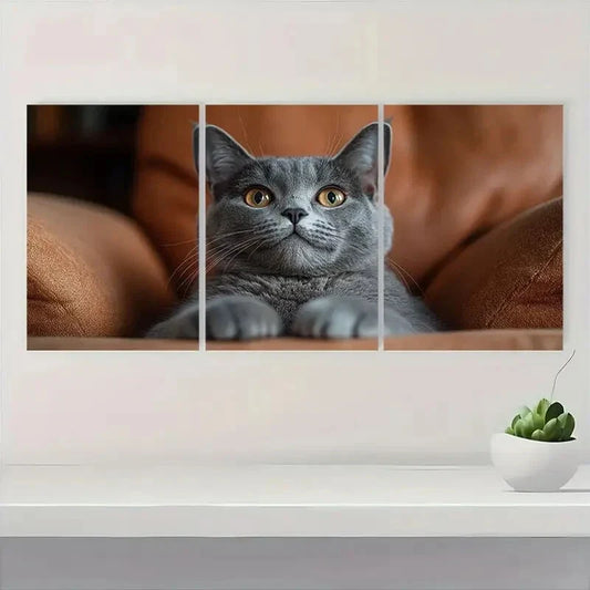 3pcs Gray Cat Brown Background Metal Print Ready to Hang Art