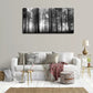 Black & White Foggy Forest Big Trees Nature Wall Art canvas office home room framed 120x60cm