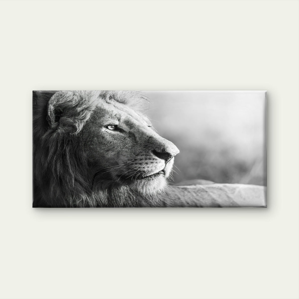 Black & White Majestic Lion Wall Art Canvas Office Home Room Framed 120x60cm