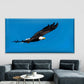 Shot of a Flying Bald Eagle Wall Art Canvas Office Home Room Framed 120x60cm