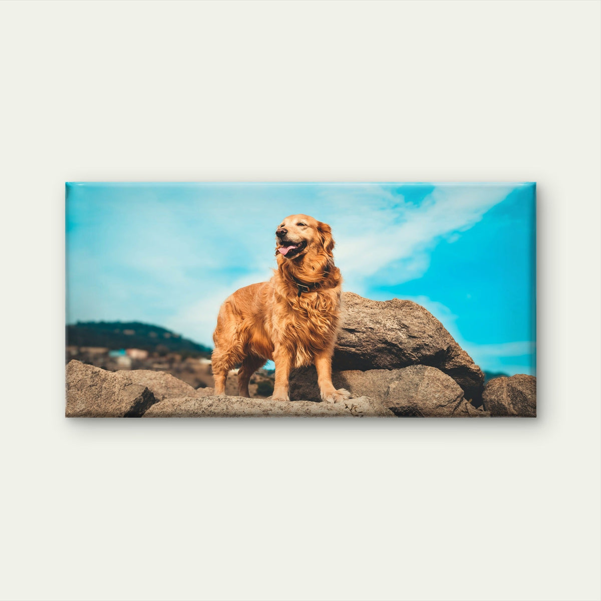 Golden Retriever On Rocks Wall Art Canvas Office Home Room Framed 80x45cm