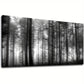 Black & White Foggy Forest Big Trees Nature Wall Art canvas office home room framed 120x60cm